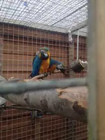ImageUploadedByTapatalk1395415610.655076.webp