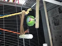20140321_095309.webp