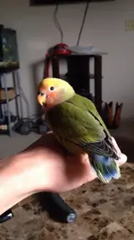 photo2.webp photo2.webp