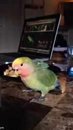 photo4.webp photo4.webp