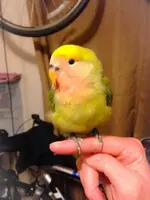 photo1.webp photo1.webp