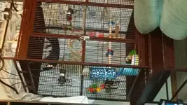20150112_115249.webp