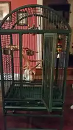 20160107_203651.webp