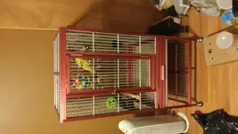 20160107_195353.webp