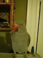 IMG_20140330_175503 - Copy.webp