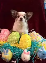 abby easter 2.webp
