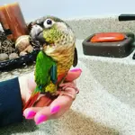 image.webp image.webp