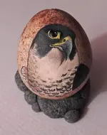 eggdone.webp
