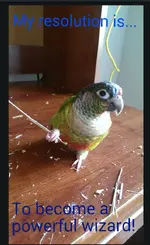 Rico wizard resolution.webp