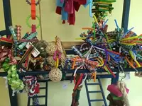 bird toy1.webp