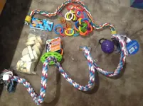 image.webp