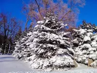 IMG_20150202_151630.webp