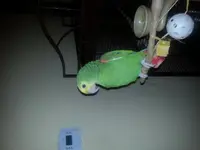 20140427_220506.webp