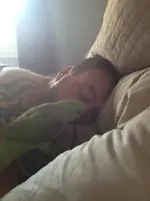 Wake up Papa.webp