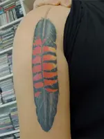 tattoo.webp