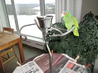 IMG_1901 (2).webp