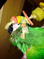 11046963_10206376085983995_7895149952718878876_n.webp