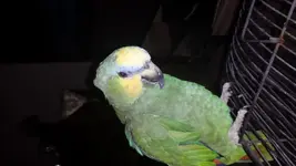 20160314_202526.webp