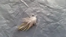 2014-05-16 11.05.56.webp