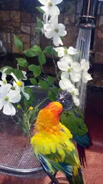 IMG_20140501_172120_675 (1).webp