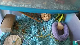 20160325_124525.webp
