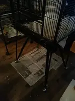 legs of Mattie's cage.webp