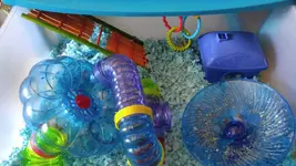 20160325_124455.webp