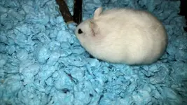 20160301_201724.webp