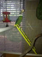 ImageUploadedByTapatalk1401401388.652775.webp