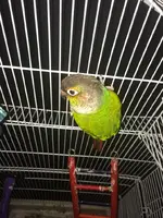 image.webp
