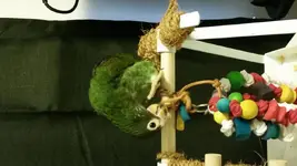 20160126_104247[1].webp