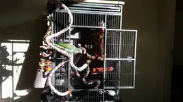 20160405_081246[1].webp