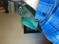 image.webp image.webp