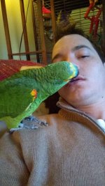 parrot kiss.jpg