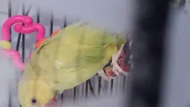 20160419_173211.webp