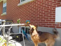 DSCN2925.webp