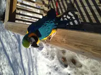 IMG_4115[1].webp