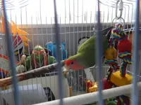 DSCN0834.webp