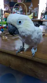 FB_IMG_1462294778879.webp