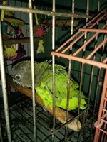 1404677926544.webp