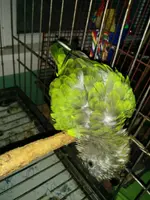 1404677960521.webp