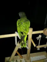 1404679699993.webp