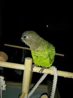 1404679732659.webp