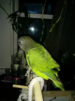 1404679773937.webp