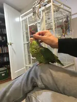 on knee.webp