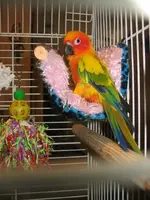 inhisbed3.webp