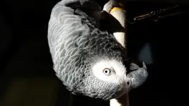 2016-06-03 10.48.24.webp