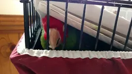 Josh phone 1536.webp