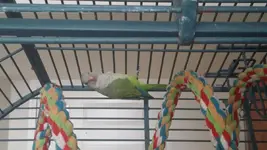 uploadfromtaptalk1431909312685.webp uploadfromtaptalk1431909312685.webp