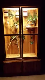 20160629_215613.webp